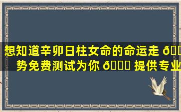 想知道辛卯日柱女命的命运走 🐱 势免费测试为你 🍁 提供专业解析！